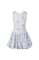 Blue Bow Toile