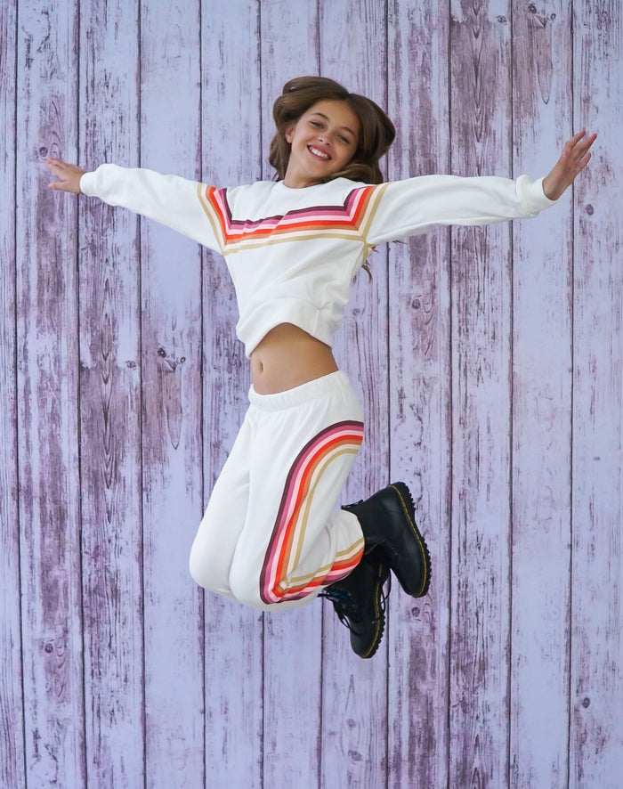 *Multi Color Stripe Sweatshirt*