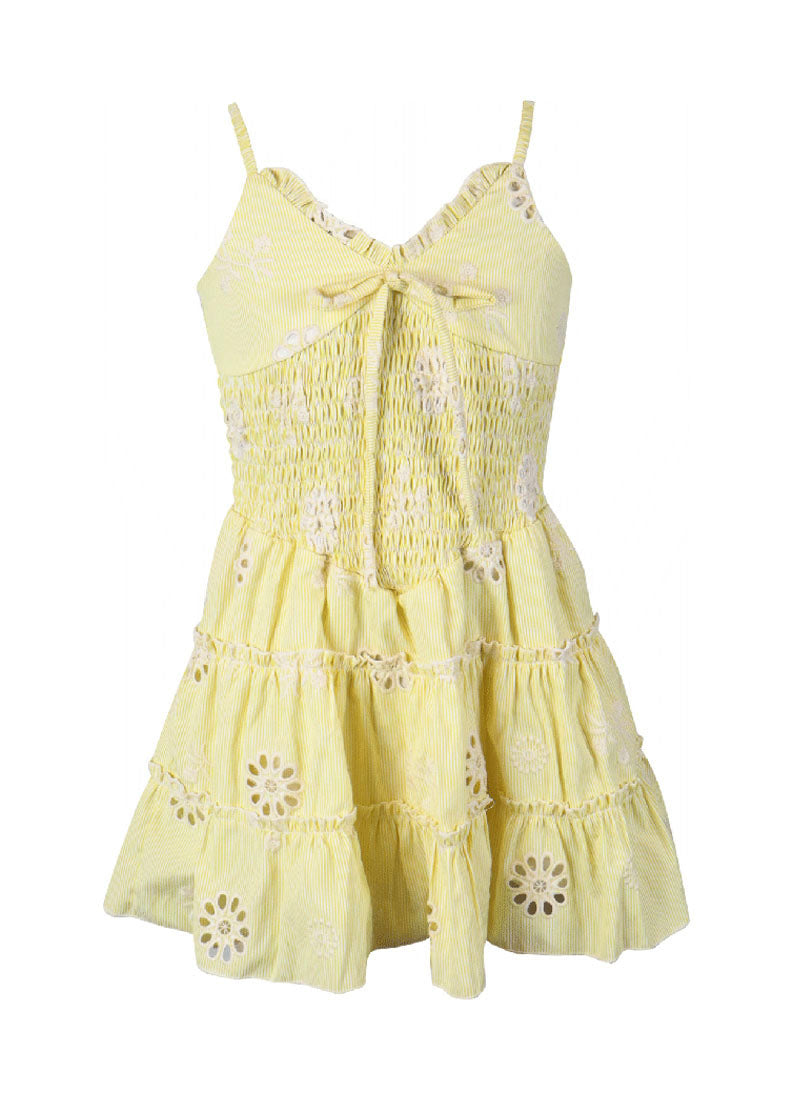 *Stripe Embroidery Strap Dress*