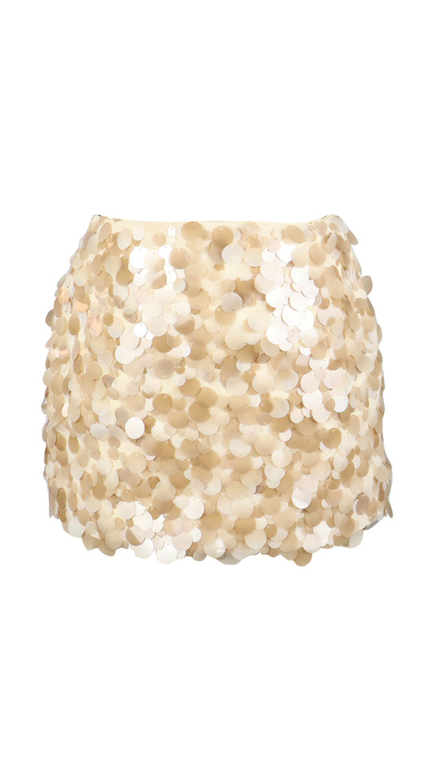 *Sequin Skirt*